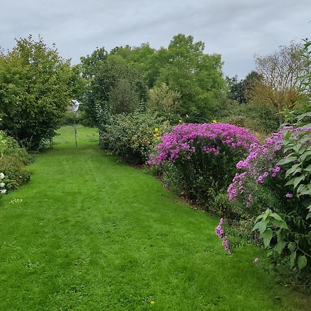 Familienurlaub Mit Hund An Der Ostsee Admannshagen-Bargeshagen Zewnętrze zdjęcie
