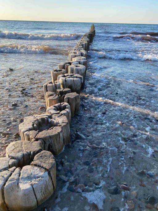 Familienurlaub Mit Hund An Der Ostsee Admannshagen-Bargeshagen Zewnętrze zdjęcie